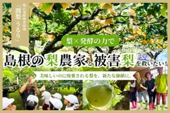 クラウドファンディング