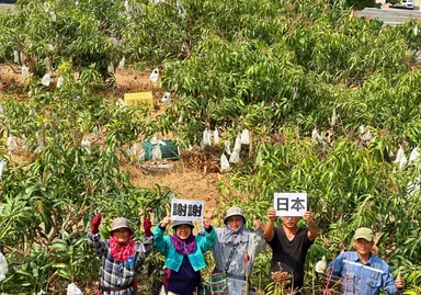 台湾スタッフ全員日本大好き