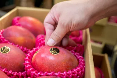 一つ一つ丁寧に検品をし発送