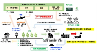 モザンビークにおける環境に配慮したゴマのバリューチェーン・デジタル化のイメージ