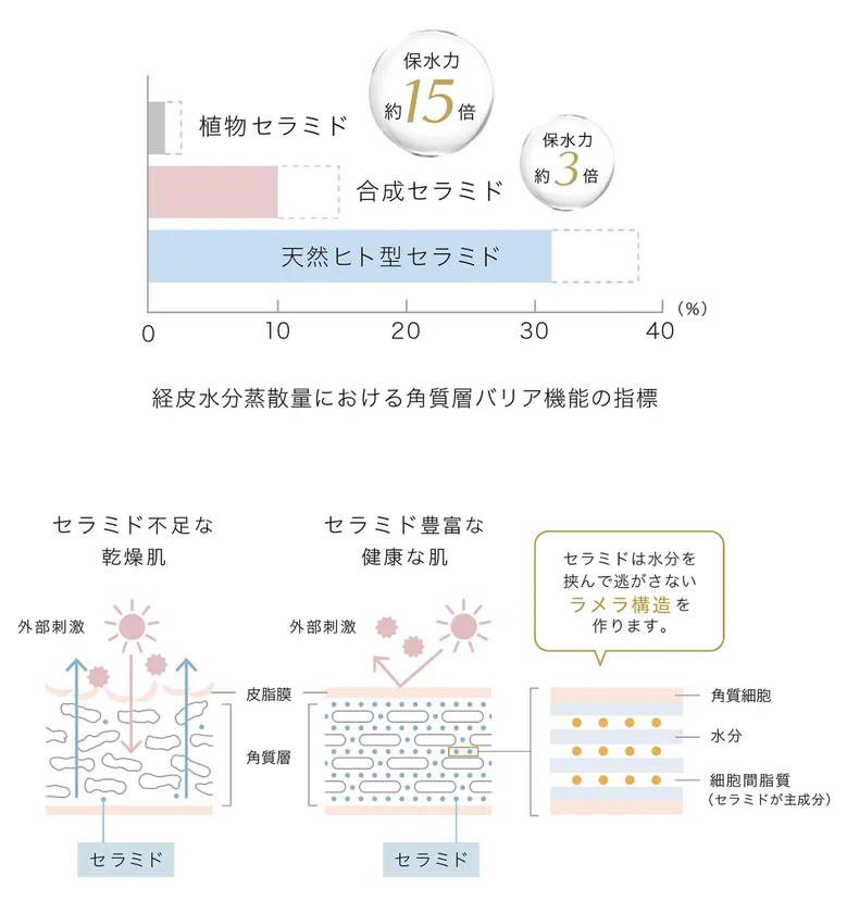 長鎖型天然ヒト型セラミド