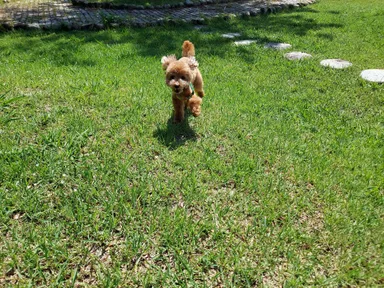 元気でいて欲しい