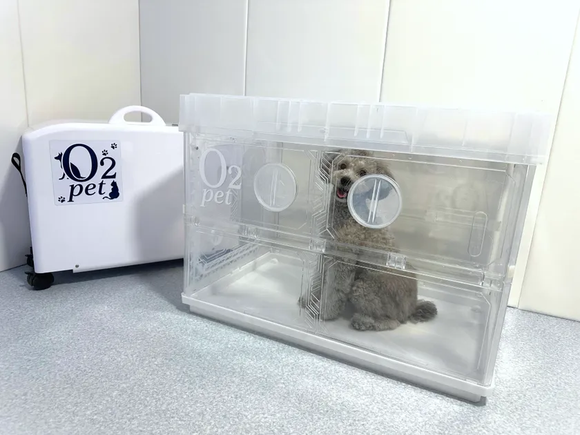 新型折り畳み式ケージ