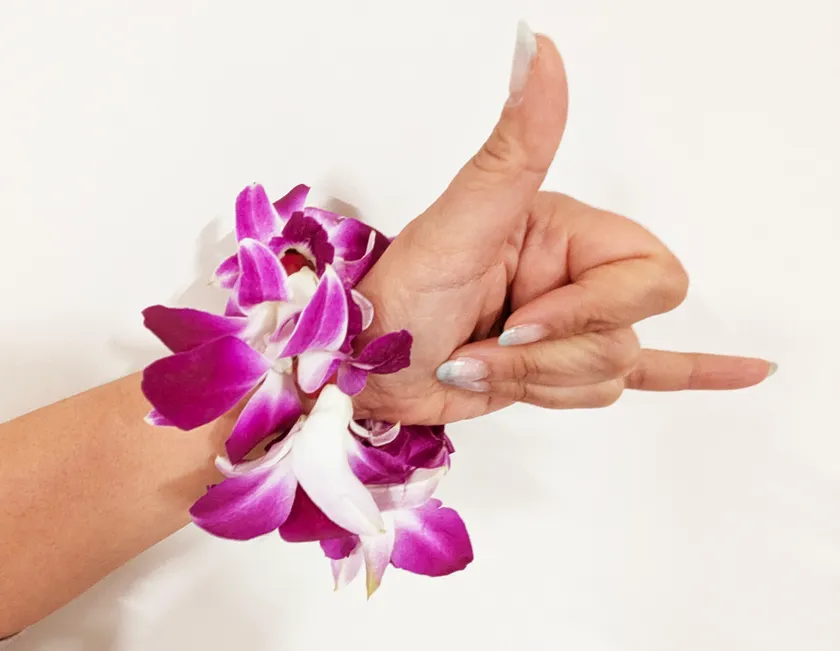 クぺエワークショップ