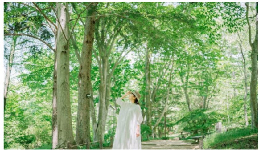 【六甲高山植物園】5月4日（日）は「みどりの日」
新緑が見頃です