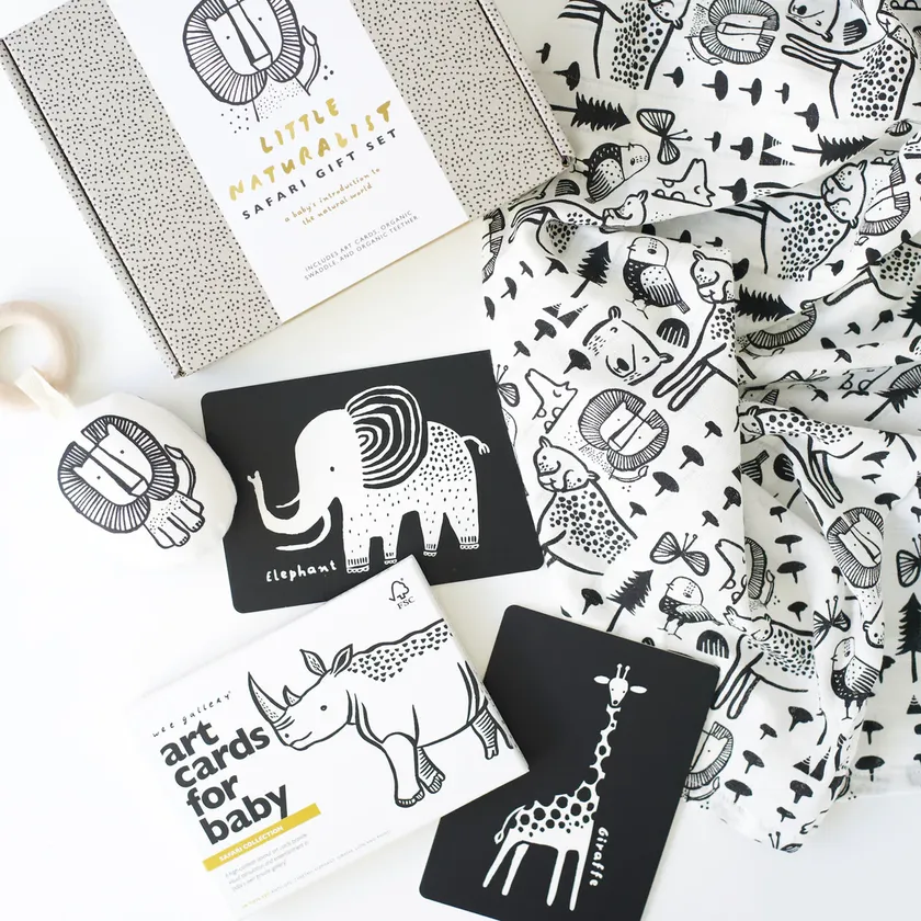 Wee Gallery/Gift Set