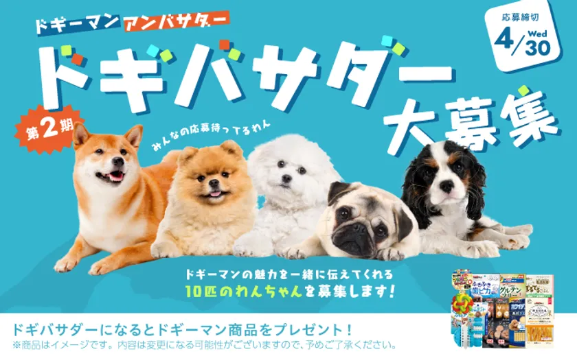 ドギバサダー大募集