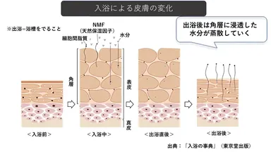 入浴による皮膚の変化