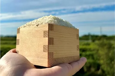 お米の升すくい