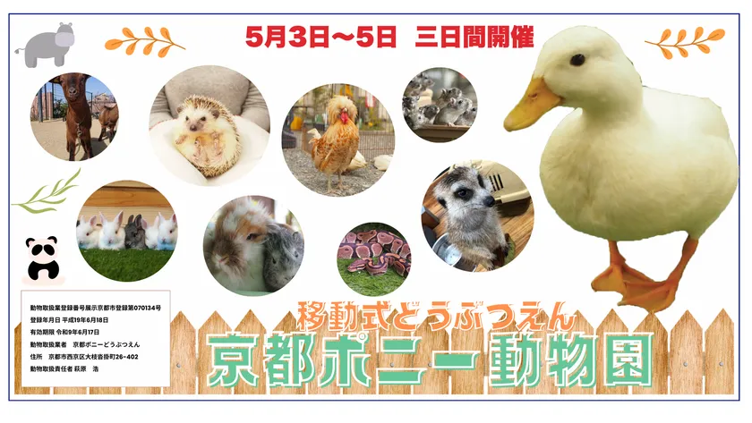 京都ポニーどうぶつえん