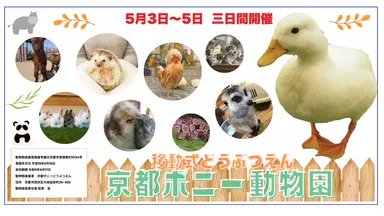 京都ポニーどうぶつえん