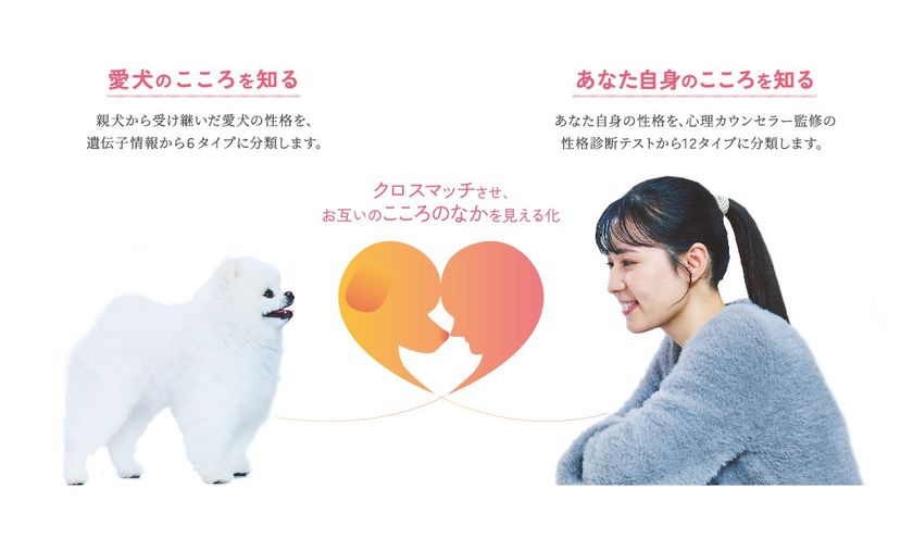 お互いのこころの欲求を“見える化”イメージ