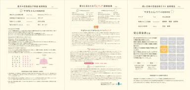 お互いのこころの欲求を見える化 報告書イメージ