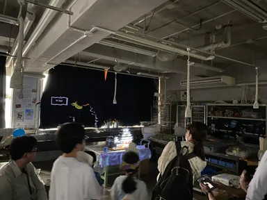 プロジェクションマッピングの様子