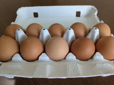 オーガニック卵