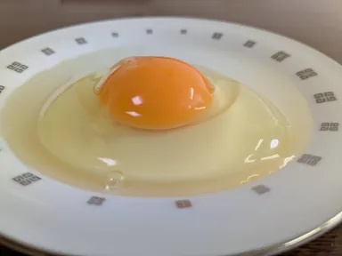オーガニック卵中身(2)