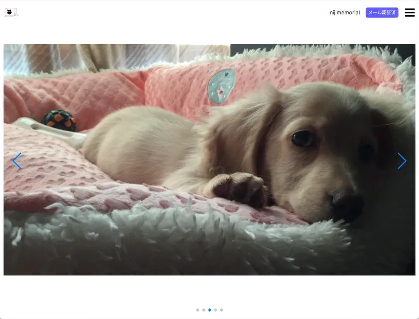 複数の写真を閲覧できるスライド式ギャラリー