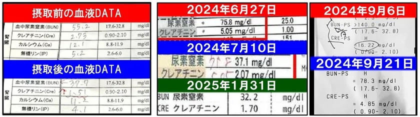 「イヌトウキ」サプリメント投与後、腎機能(BUN・CRE)の改善が見られた猫のデータ(一部抜粋)。83%の猫において腎機能の数値改善が確認された(獣医師監修のもと実施)。