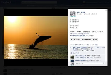 Facebook：個別記事