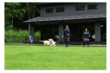 愛犬と暮らす宿 VILLA Leaf