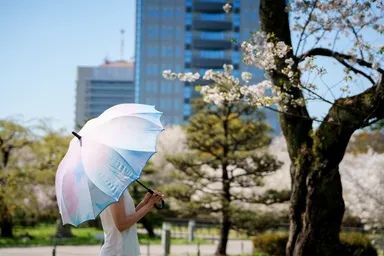 『da mon de』使用イメージ写真