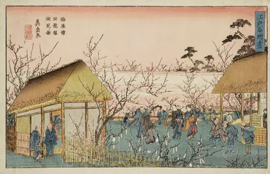 (Photo_10) 江戸名所尽　梅屋舗臥龍楳開花ノ図　溪斎英泉　天保(1830～1844)頃　［前期展示］