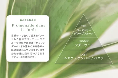 香りの特長 プロムナード・ドン・ラ・フォレ