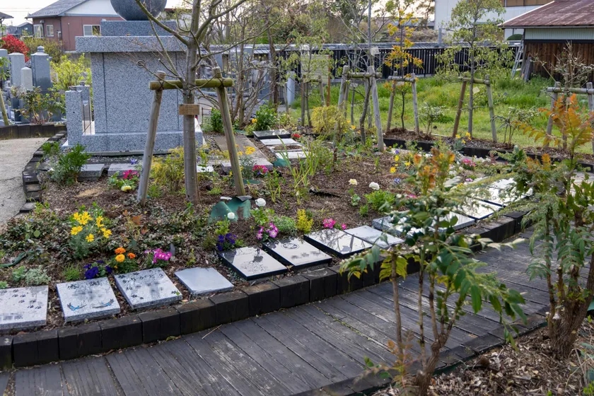 樹木葬 イメージ