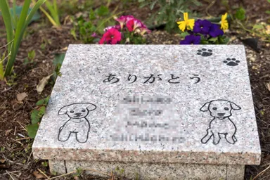 樹木葬の墓石　1