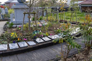 樹木葬　イメージ