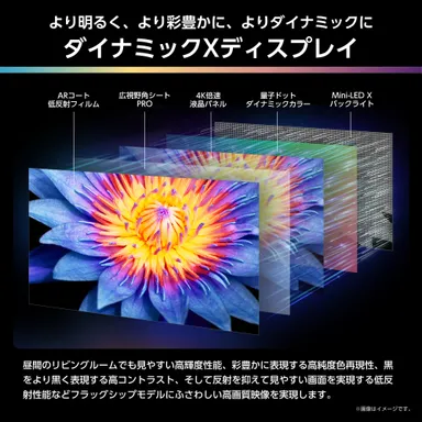 ダイナミックXディスプレイ