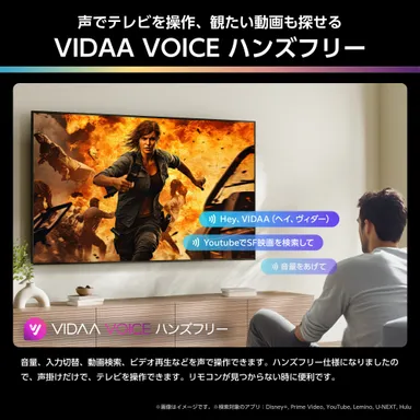 VIDAA VOICEハンズフリー