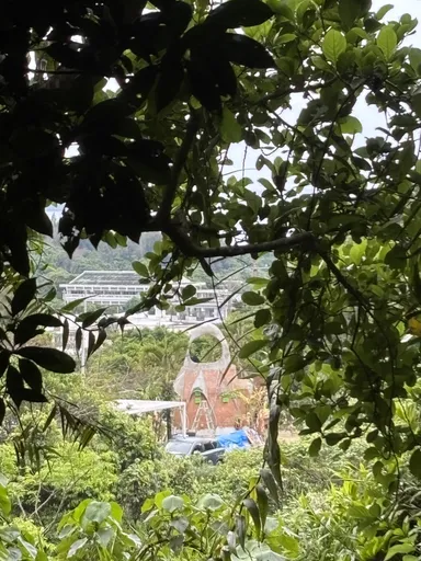 裏山の聖地から見下ろすKUu