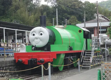 パーシー　画像は2024年当時