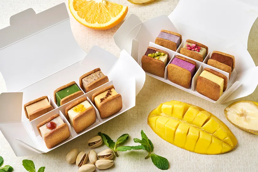 12種セット(ご自宅用)