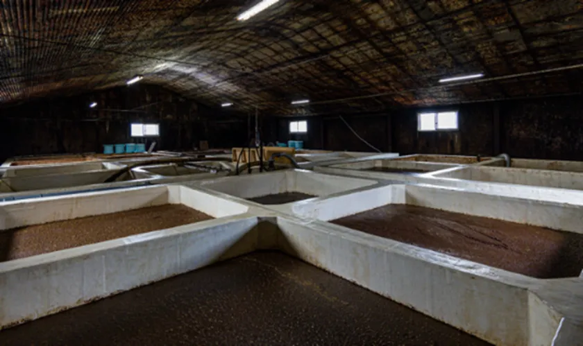 味噌醤油づくりの歴史に触れる「工場見学」