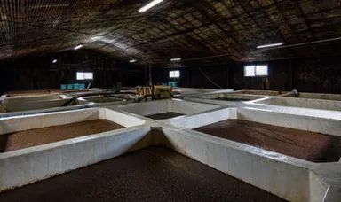 味噌醤油づくりの歴史に触れる「工場見学」