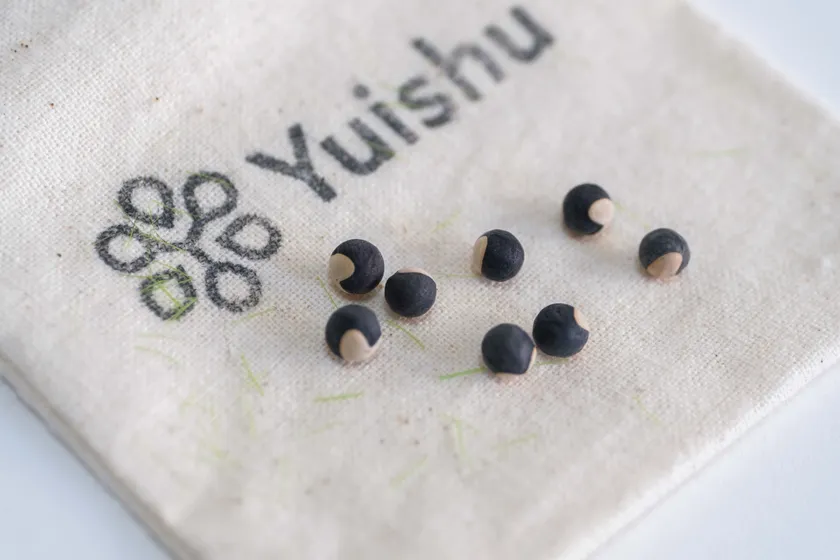 Yuishu(DNAを含むタネ)