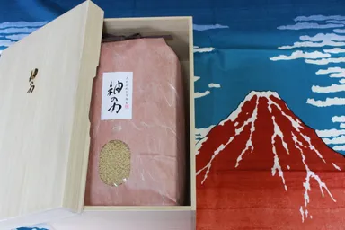 スーパー神の力540000円/5kg