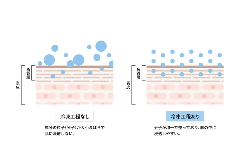 冷凍することで整える分子の配列と浸透イメージ
