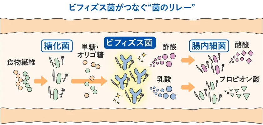イメージ(4)