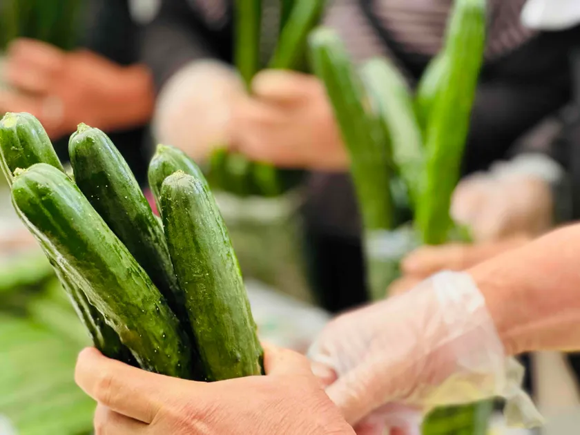 きゅうり詰め放題