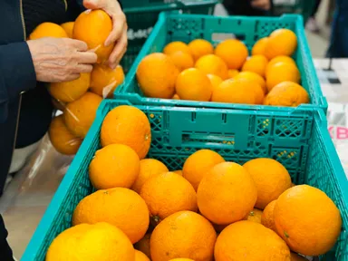 柑橘詰め放題