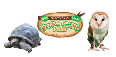 ラッキーアニマル大集合