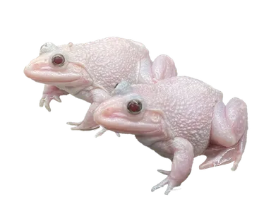 ワクワク！水族館