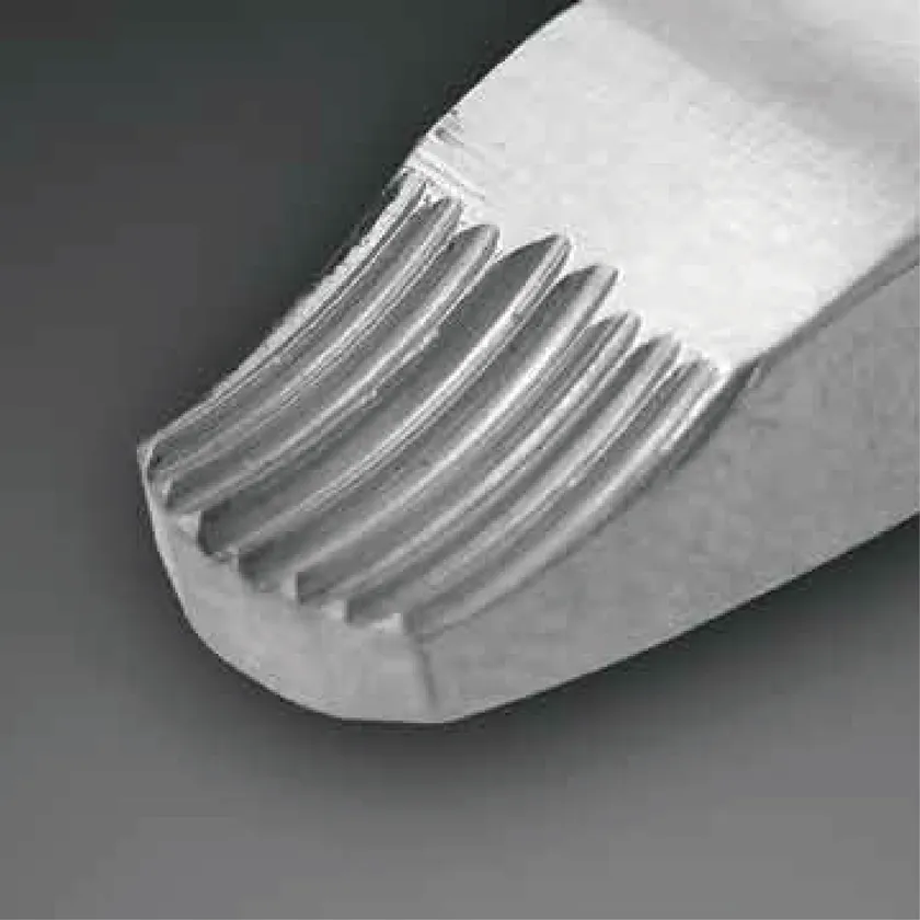 メディザウルス先端部