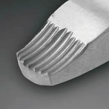 メディザウルス先端部