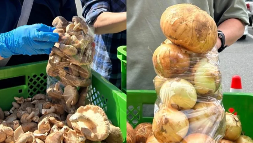 大好評「野菜・果物詰め放題」1