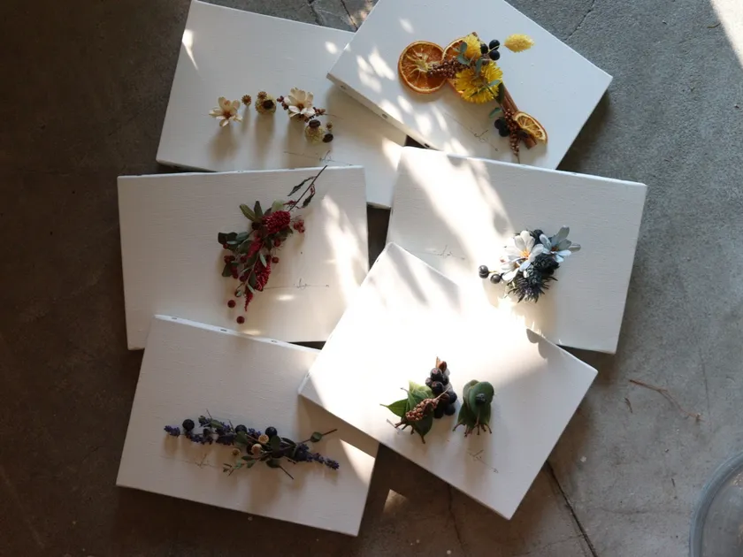 暮らしゾーン/judino