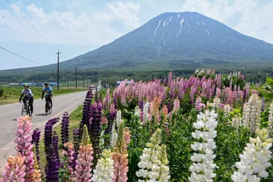 2024年サイクリングの様子2